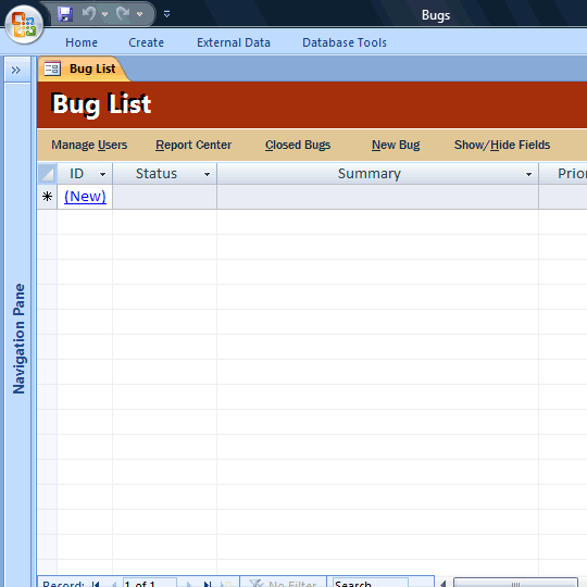 Bug Database Template