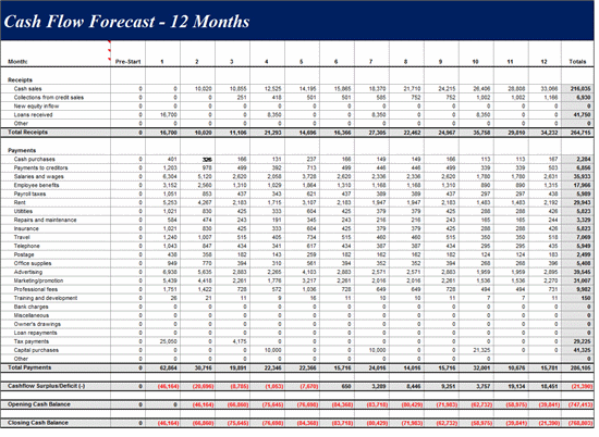 12 Month Cash Flow Forecast Template