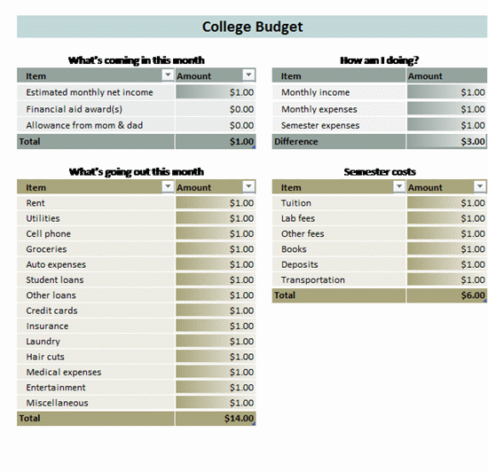 Click College Student Budget Template Now to download the template.