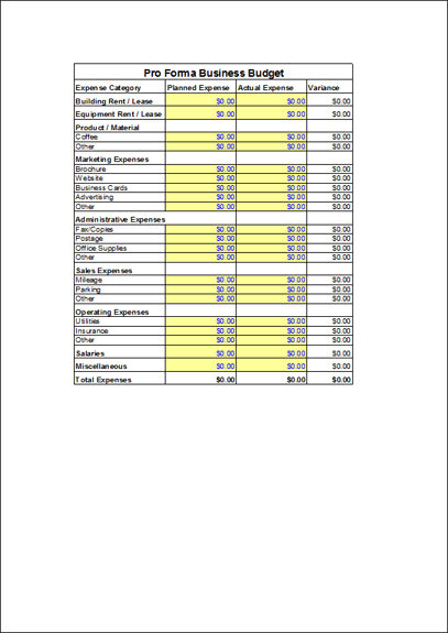 Click Per-forma Business Budget Template Now to download the template.