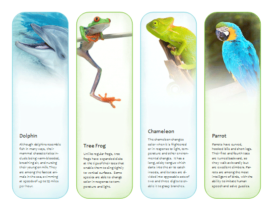 bookmarks tropical animals template microsoft